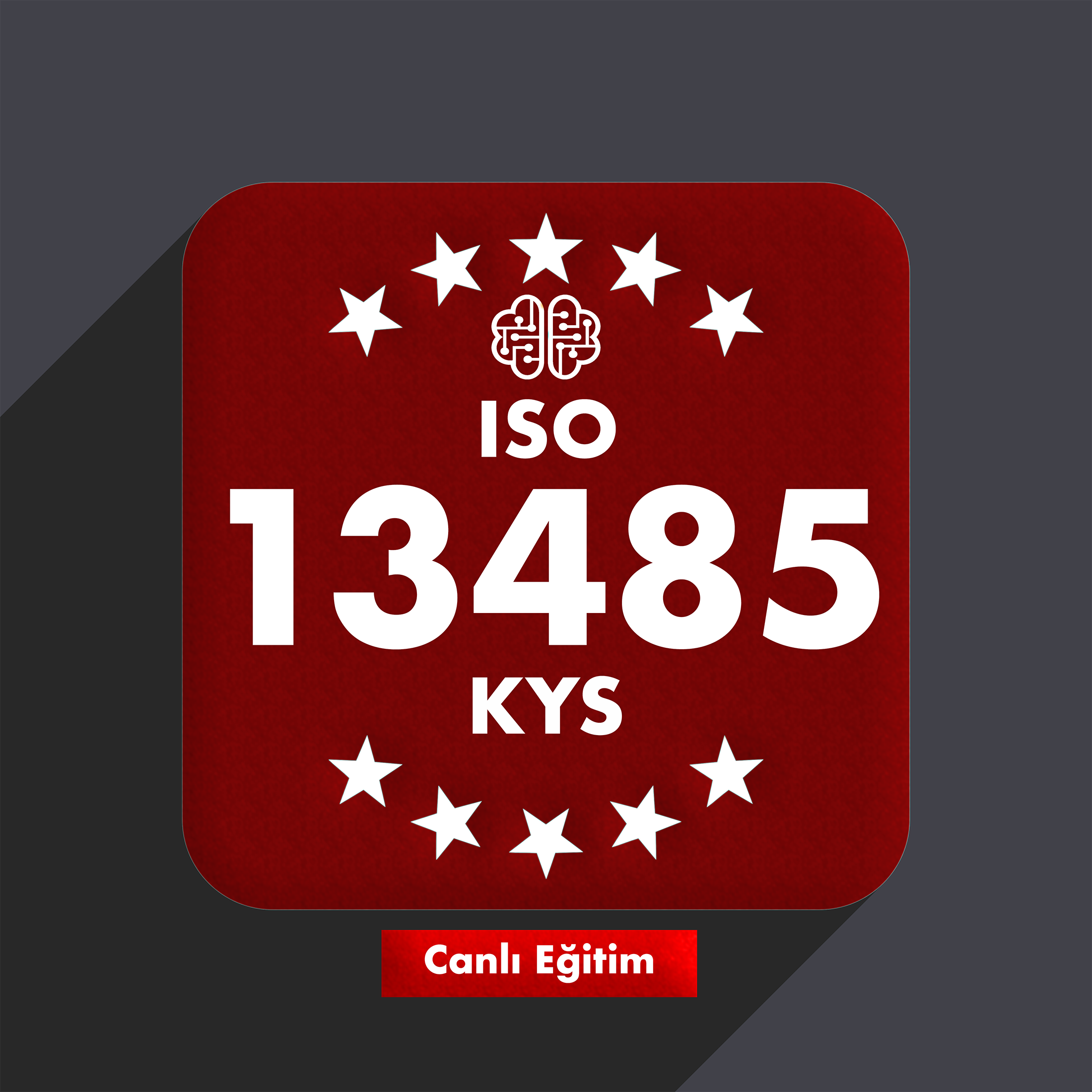 Online Canlı ISO 13485 Tıbbi Cihaz Kalite Yönetim Sistemi Eğitimi