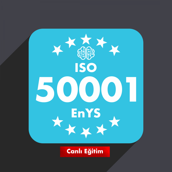 Online Canlı ISO 50001 Enerji Yönetim Sistemi Eğitimi